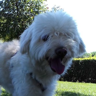 Profile Picture of Jose Recio Meco (@joseantonio0141) on Twitter