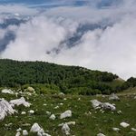 Profile Picture of Ron Coffman (@ron.coffman.1654) on Instagram