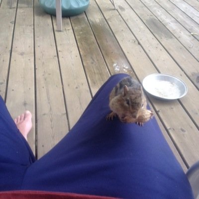 Profile Picture of Ken (@ken_ecker) on Twitter