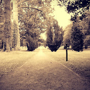 Profile Picture of James Sheehan (@JaSheen89) on Youtube