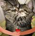 Profile Picture of Lynn Newsome (@lynn.newsome.7965) on Facebook