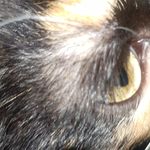 Profile Picture of Aarón/Asrael o para los kazajos Nicolás (@aaron___privv1789) on Instagram