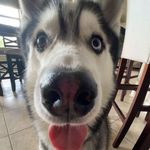 Profile Picture of Mattheu Rua (@mattheurua) on Instagram