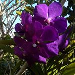 Profile Picture of Cecile Roberts (@cecileroberts3790) on Instagram
