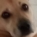 Owen Ewing - Instagram Profile Picture of Owen Ewing (@owen.ewing.5) on Instagram