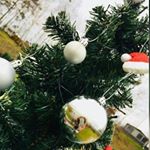 Profile Picture of Joanne Grimm (@joanne.grimm) on Instagram