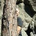 Profile Picture of Nathan Karl Nelson (@nathan.k.nelson.5) on Facebook