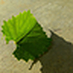 Profile Picture of Jason Palmer (@palm2188) on Flickr