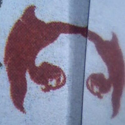 Profile Picture of Leonard Karl (@evolucionahora) on Twitter