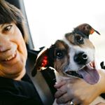 Profile Picture of Donna Clausnitzer (@donnac0125) on Instagram