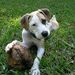 Profile Picture of G. Kutcher (@garykutcher28) on Pinterest