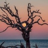 Profile Picture of glenncarson985 (@@glenncarson985) on Tiktok