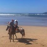 Profile Picture of William Bartolo (@bartolowilliam) on Instagram