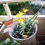 Profile Picture of Hanna Saad (@Hanna-Saad) on Facebook