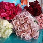 maryam.janfeshan - Instagram Profile Picture of maryam.janfeshan (@m.janfesha) on Instagram
