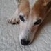 Profile Picture of Bobbi Reiter (@bobbi.reiter.735) on Facebook