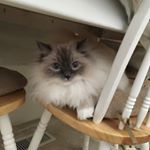 Profile Picture of LeAnn Stewart (@leannstubbsstewarts) on Instagram