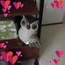 Profile Picture of Jean Boots (@jean.boots1) on Facebook