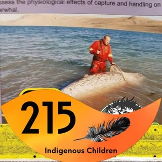 Profile Picture of Brendan Orr (@brendan.orr) on Instagram