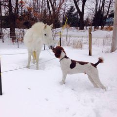 Profile Picture of janetrosencrantz0 (@janetrosencrantz0) on Tiktok