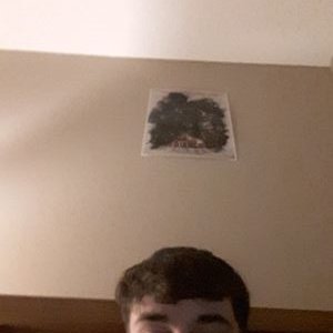 Profile Picture of Leo Murray (@LeoMurr12634474) on Twitter