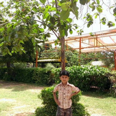 Profile Picture of Asim Mirza (@asimmirza123) on Twitter