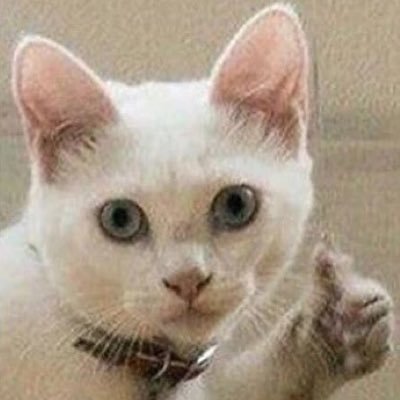 Profile Picture of Julia Shevchuk (@JuliaShevchuk4) on Twitter