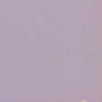 Profile Picture of 𑁍𝙹𝚎𝚜𝚜𝚒𝚌𝚊 𝙲.𑁍 (@jessica.stoopid) on Instagram