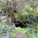 Profile Picture of Tracy Le Roux (@tracy.leroux.5205) on Instagram