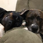 Profile Picture of matthewpalla (@mattdrumzilla) on Instagram