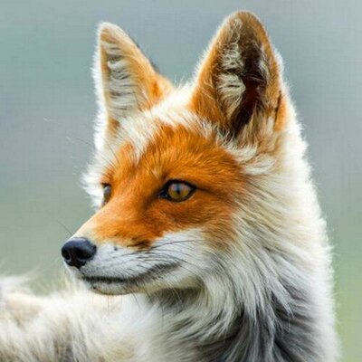 Profile Picture of Alberto Sánchez M. (@asm33) on Twitter