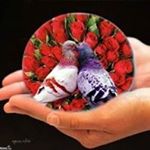 Profile Picture of Silvia Quezada (@blancapacas12) on Instagram