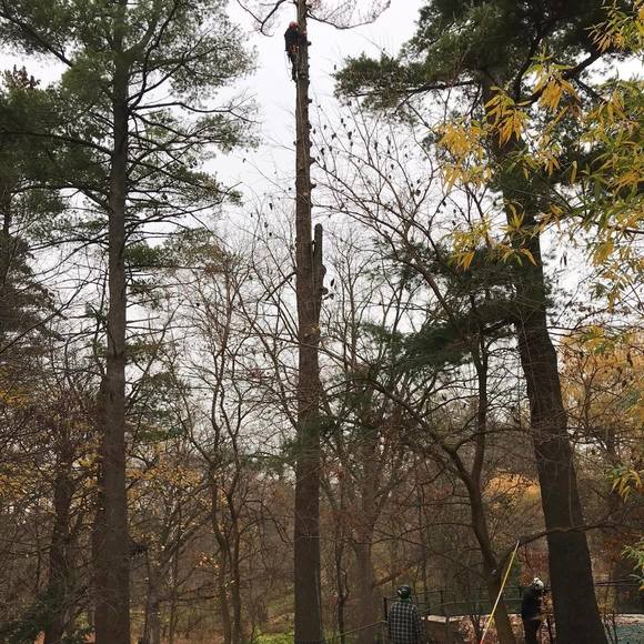 Profile Picture of Nicholas Theodore (@tareca95) on Poshmark