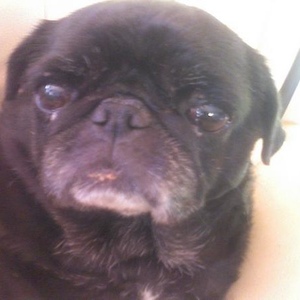 Profile Picture of Sophia Coyle (@293616173) on Myspace