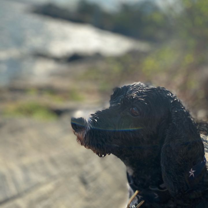 Profile Picture of ericfriedman (@ericfriedman) on Tiktok