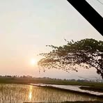 Profile Picture of Jerom Curtez (@Jerom-Curtez) on Facebook