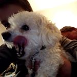 Profile Picture of tommy.mac (@thomas.mcpartland) on Instagram