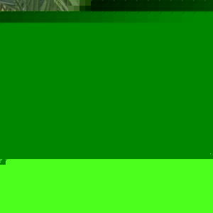 Profile Picture of Paul Mcmurtry (@358147511) on Myspace