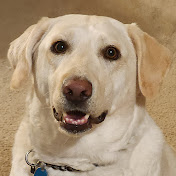 Profile Picture of Roy Hayes (@royhayes2606) on Youtube