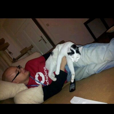 Profile Picture of Steven Guenther (@stevengpunkt) on Twitter