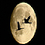 Profile Picture of Mohd Nor Adib Abu Bakar (@mohd_nor_adib) on Flickr