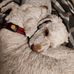 Profile Picture of Carol Barnes (@carol.barnes.79677) on Facebook