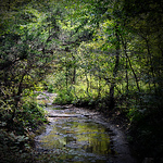 Profile Picture of Justin Atnip (@mizfit photography) on Flickr