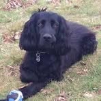 Profile Picture of Robert Roton (@Robert-Roton) on Facebook