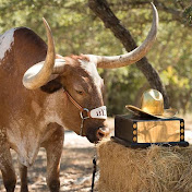 Profile Picture of Jeffrey Bishop (@Texasengineer409) on Youtube