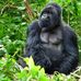 Profile Picture of Daniel Gauchat (@daniel.gauchat.946) on Facebook