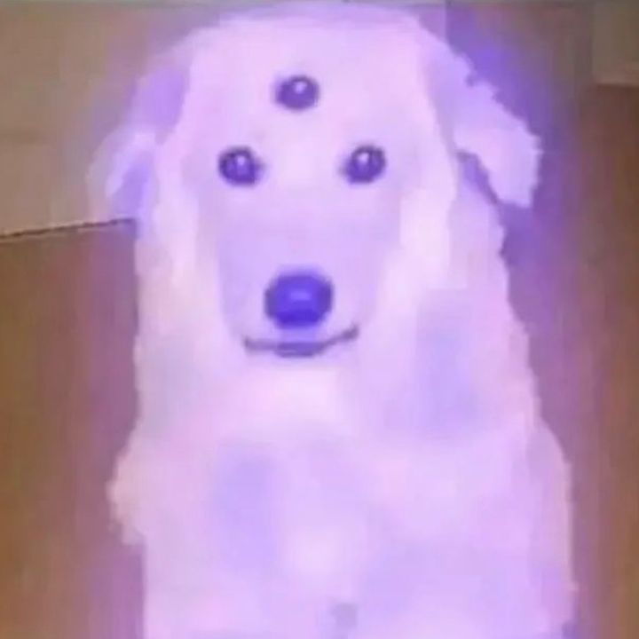 Profile Picture of Oblongo (@karlhaley1) on Tiktok