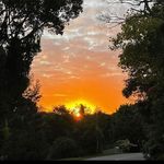 Profile Picture of Sebastian Scott Eisenberg (@scotteisenbergsebastian) on Instagram