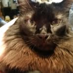 Profile Picture of Danette Parker II (@Danette-Parker-II) on Facebook