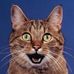 Profile Picture of William Schwind (@William-Schwind) on Facebook